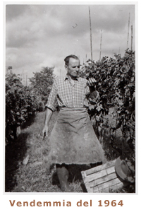 Vendemmia del '64 - Notavini